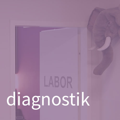 Diagnostik